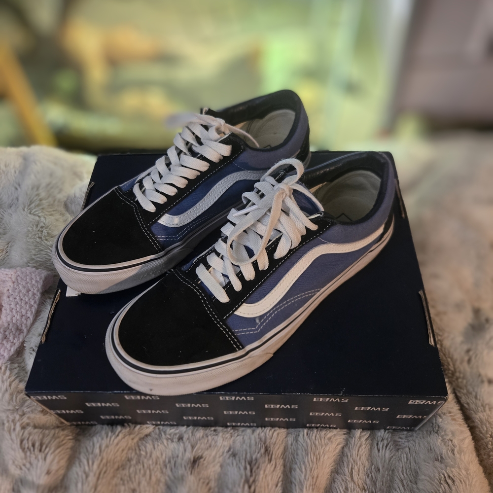 Vans Old Skool Skate Shoes